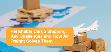 Perishable Cargo Shipping: Key Challenges and How Air Freight Solves Them